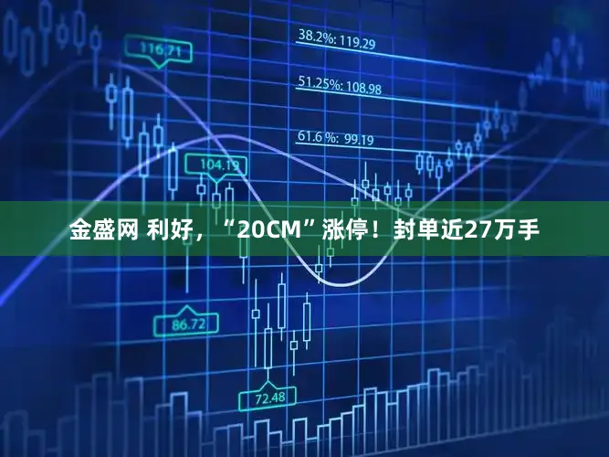 金盛网 利好，“20CM”涨停！封单近27万手