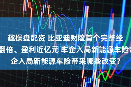 趣操盘配资 比亚迪财险首个完整经营年度即保费翻倍、盈利近亿元 车企入局新能源车险带来哪些改变？