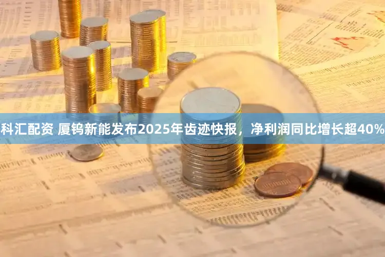 科汇配资 厦钨新能发布2025年齿迹快报，净利润同比增长超40%