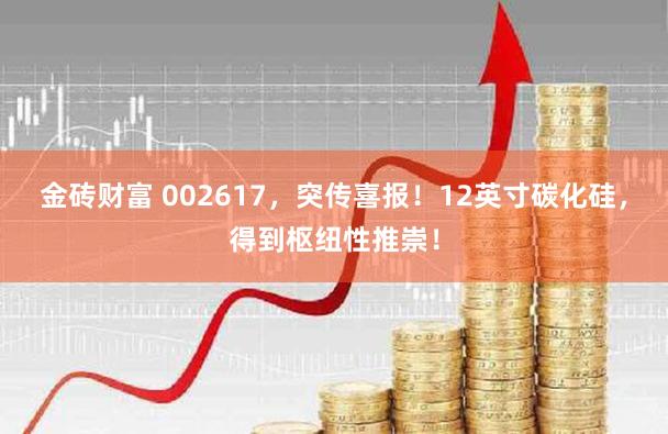 金砖财富 002617，突传喜报！12英寸碳化硅，得到枢纽性推崇！