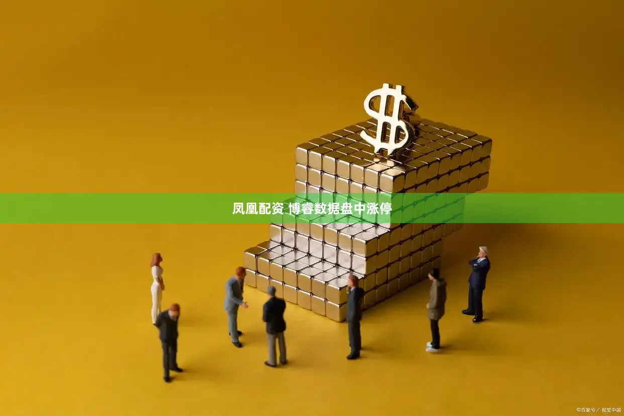 凤凰配资 博睿数据盘中涨停