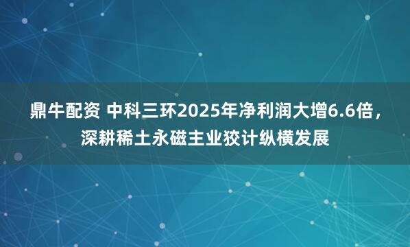 鼎牛配资 中科三环2025年净利润大增6.6倍,深耕稀土永磁主业狡计纵横发展