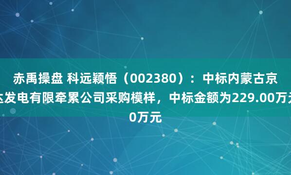 赤禹操盘 科远颖悟（002380）：中标内蒙古京达发电有限牵累公司采购模样，中标金额为229.00万元