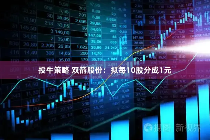 投牛策略 双箭股份：拟每10股分成1元