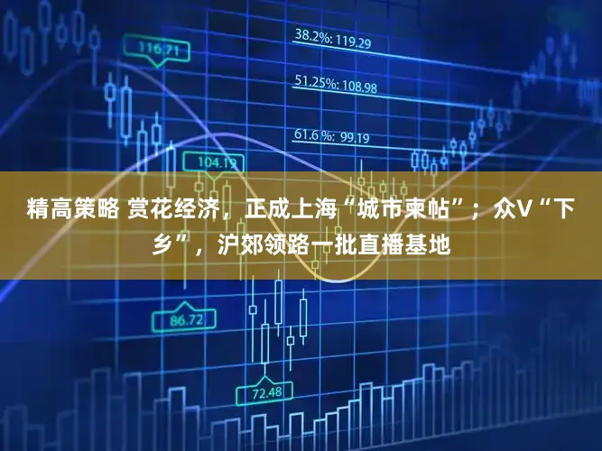 精高策略 赏花经济，正成上海“城市柬帖”；众V“下乡”，沪郊领路一批直播基地
