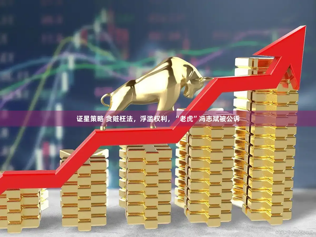 证星策略 贪赃枉法，浮滥权利，“老虎”冯志斌被公诉