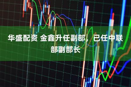 华盛配资 金鑫升任副部，已任中联部副部长