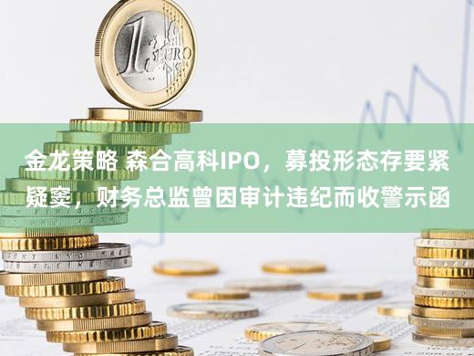 金龙策略 森合高科IPO,募投形态存要紧疑窦,财务总监曾因审计违纪而收警示函
